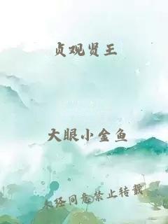 贞观贤王