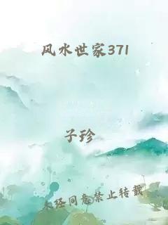 风水世家371