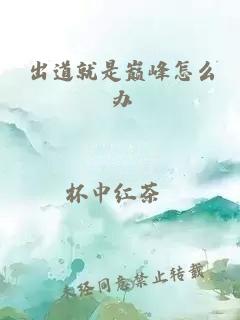 出道就是巅峰怎么办