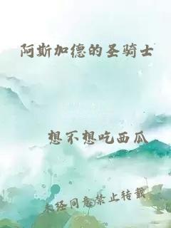 阿斯加德的圣骑士